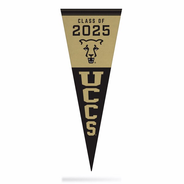College Flags & Banners Co. San Giuseppe Falchi Pennant Full Size Felt